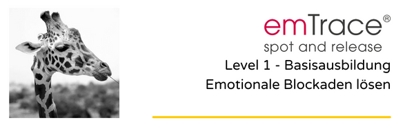emTrance® Level 1 - Basisausbildung „Emotionale Blockaden lösen“