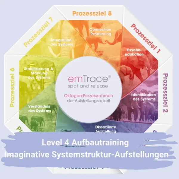 emTrance spot and release Oktagon-Prozessrahmen der Aufstellungsarbeit Level 4 Aufbautraining Imaginative Systemstruktur-Aufstellungen