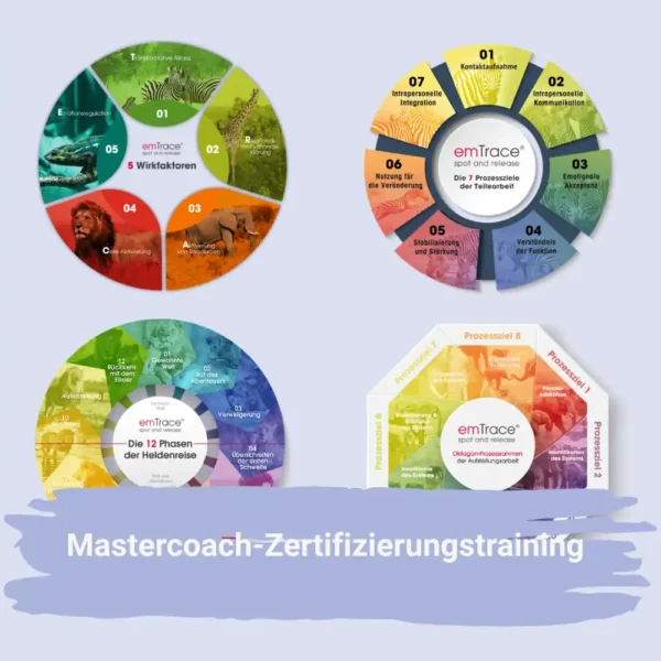 emTrance spot and release Mastercoach-Zertifizierungstraining