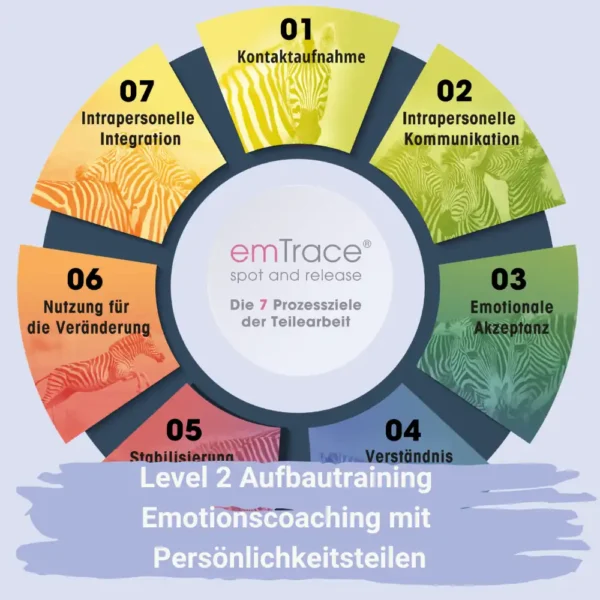 emTrance spot and release Die 7 Prozessziele der Teilearbeit Level 2 Aufbautraining Emotionscoaching mit Persönlichkeitsteilen
