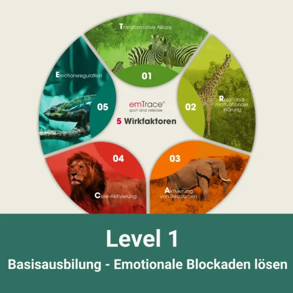 Grafische Darstellung der emTrace® Level-1-Basisausbildung von emko zur Lösung emotionaler Blockaden mit fünf Wirkfaktoren im Kreisdiagramm.