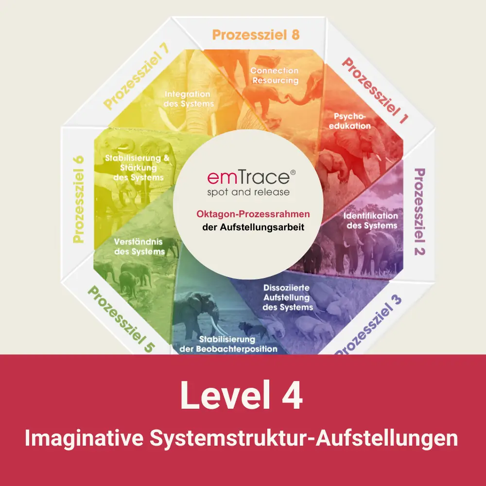 emko-emtrace-level-4-imaginative-systemstruktur-aufstellungen emTrace® Level-4-Grafik von emko zur imaginativen Systemstruktur-Aufstellung mit prozessualer Darstellung emotionaler Veränderung.