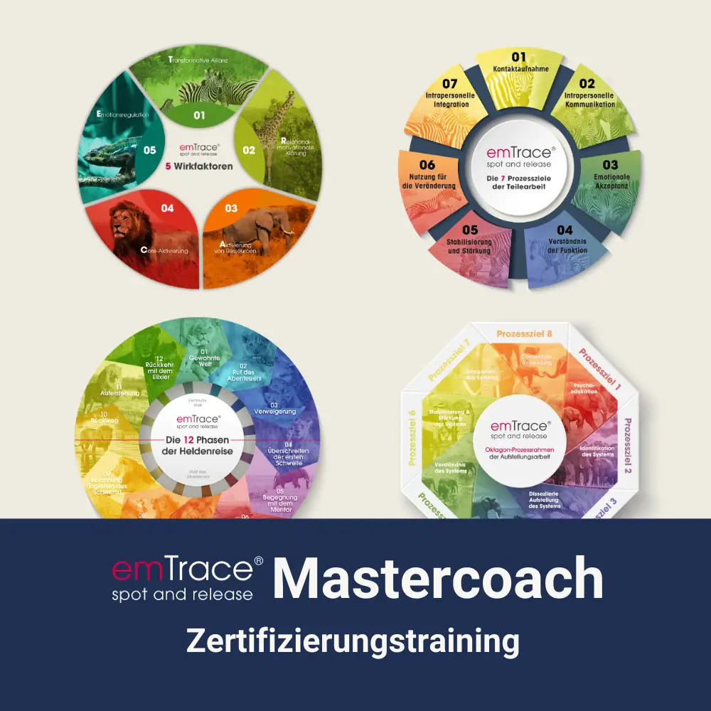 emko-emtrace-mastercoach-zertifizierungstrainin Übersichtsgrafik des emTrace® Mastercoach Zertifizierungstrainings von emko mit allen Ausbildungsstufen.