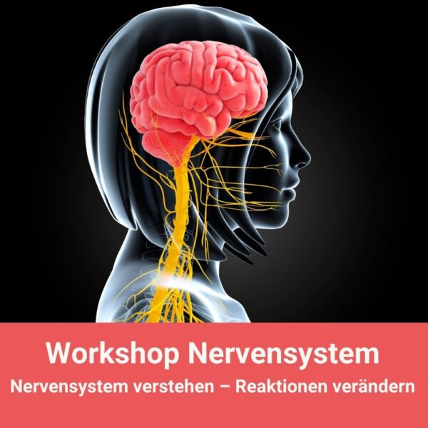 06. Nov 2026 | Workshop: Nervensystem verstehen – Reaktionen verändern
