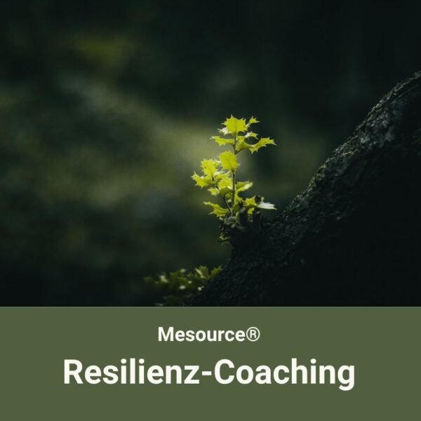 6. Apr 2027 Start | Mesource® Resilienz-Training