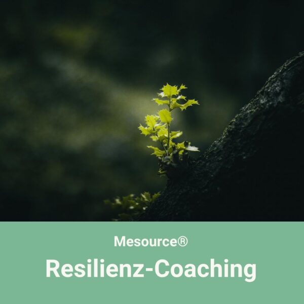 23. Sep 2026 Start | Mesource® Resilienz-Training