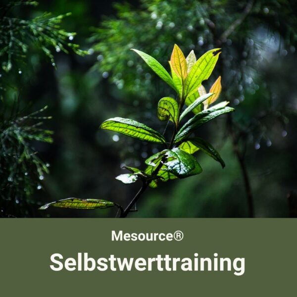 12. Jan 2027 Start | Mesource® Selbstwerttraining